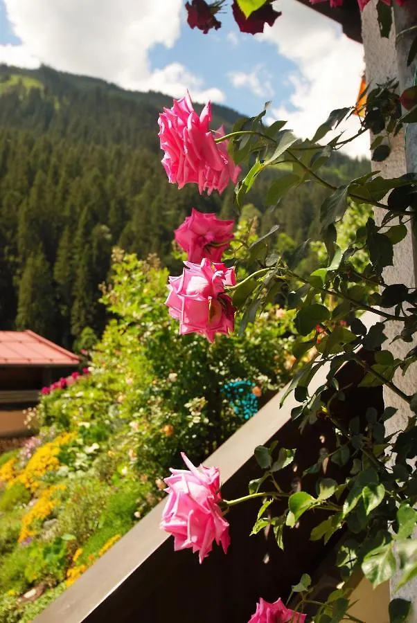 Appartement Ripper Saalbach-Hinterglemm 0*,