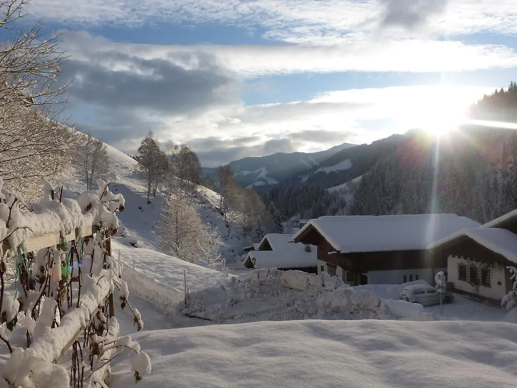 Appartement Ripper Saalbach-Hinterglemm Oostenrijk